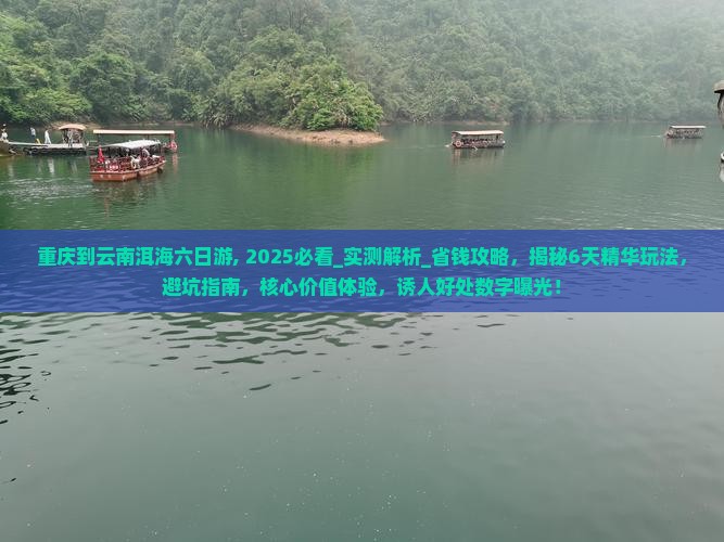 重庆到云南洱海六日游