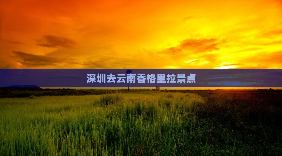深圳去云南香格里拉景点