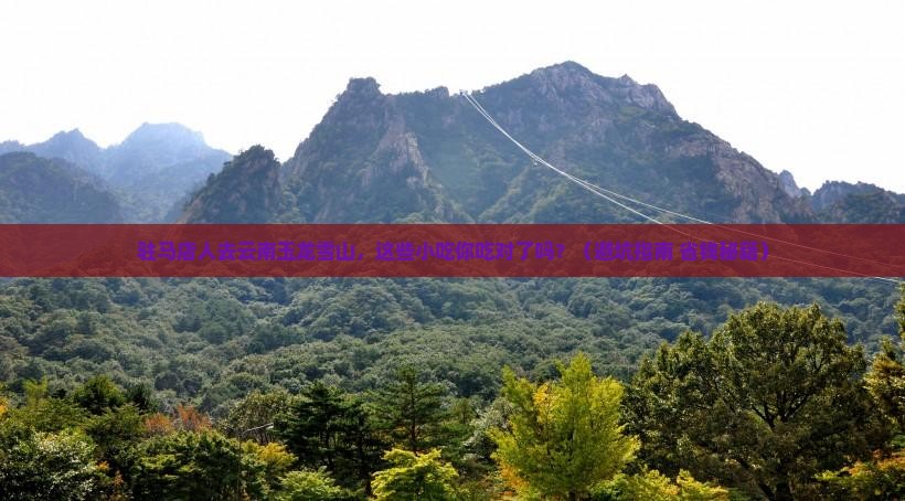 驻马店去云南玉龙雪山旅游小吃