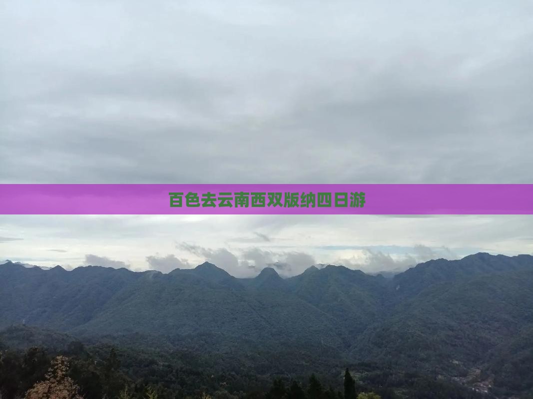 百色去云南西双版纳四日游