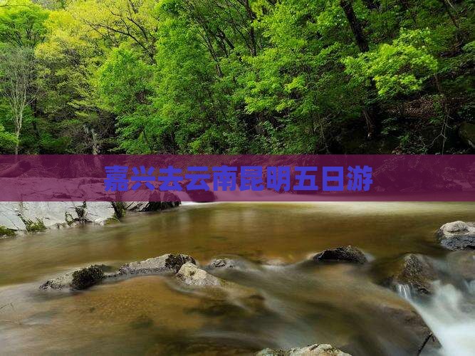 嘉兴去云南昆明五日游