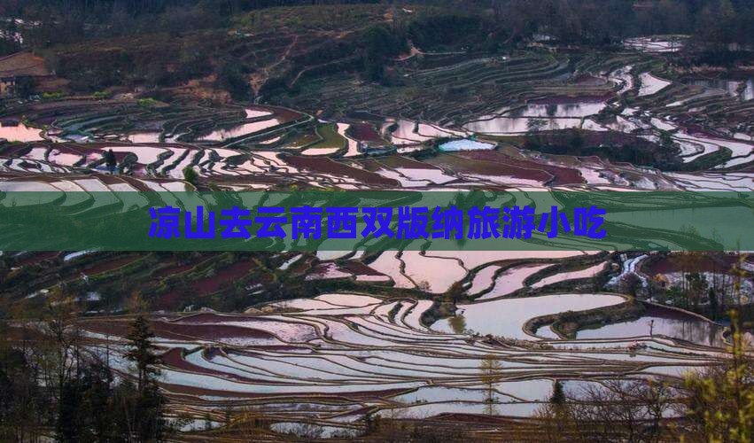 凉山去云南西双版纳旅游小吃