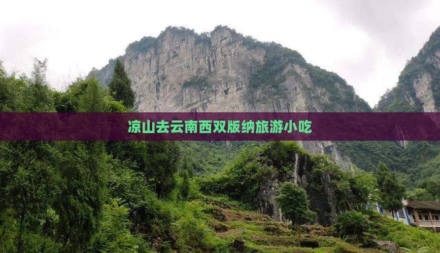 凉山去云南西双版纳旅游小吃
