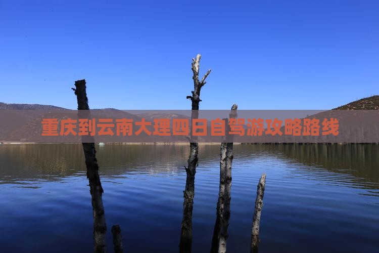 重庆到云南大理四日游
