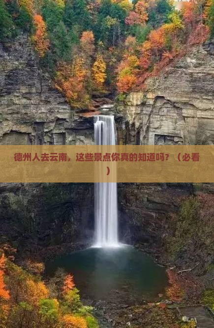 德州去云南景点
