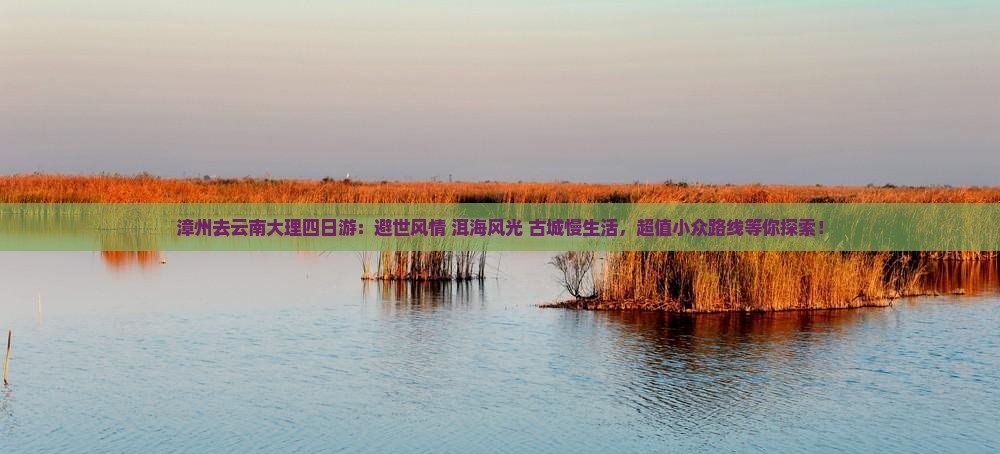 漳州去云南大理四日游