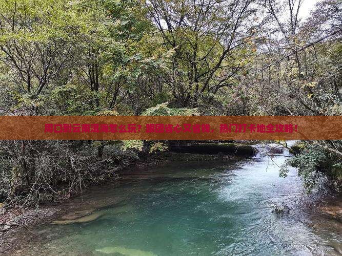 周口到云南洱海团体旅游