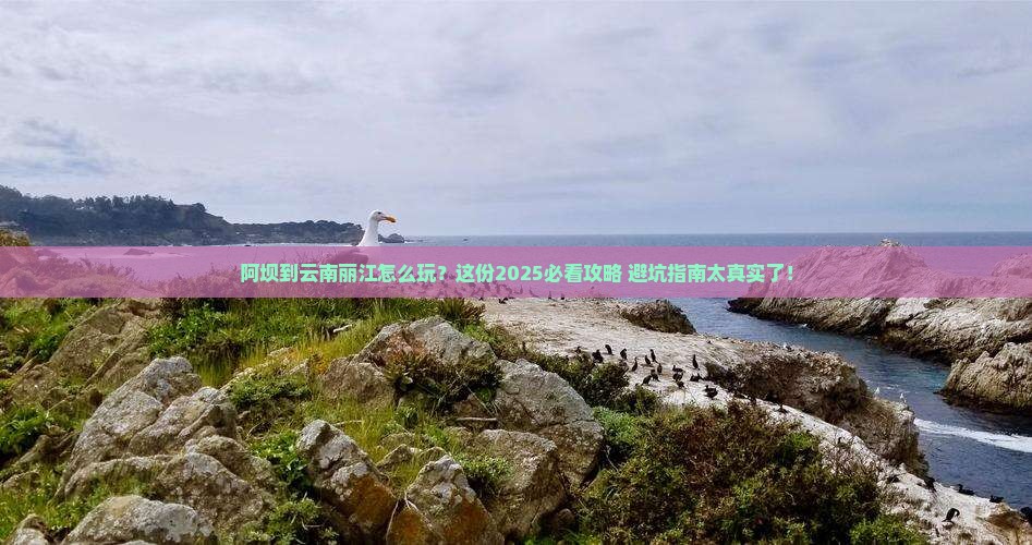 阿坝到云南丽江旅行社