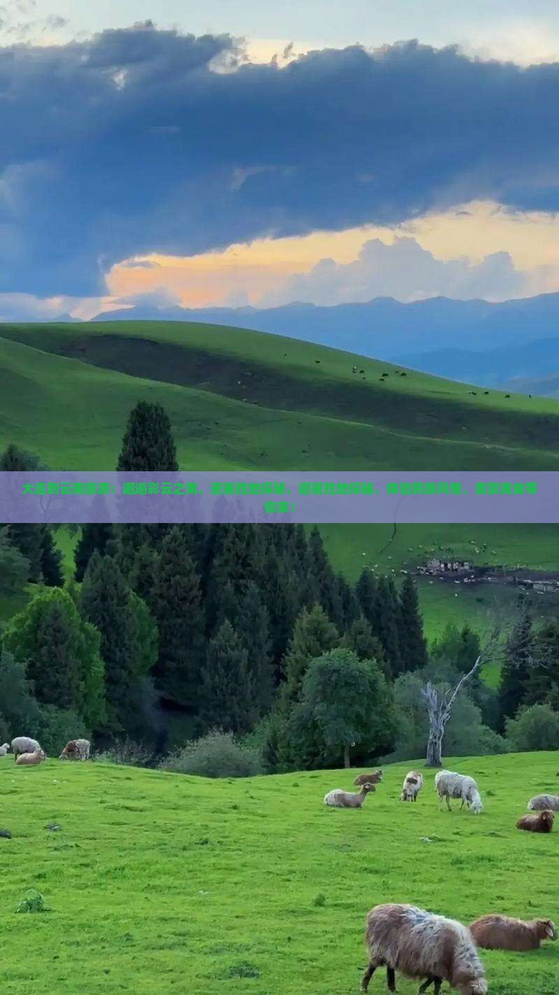 大连到云南旅游