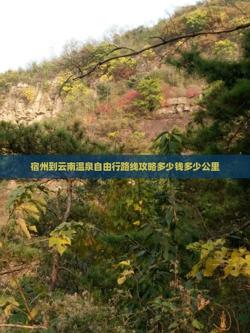 宿州到云南温泉自由行