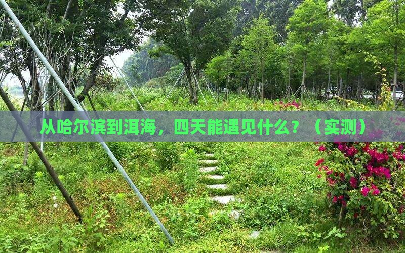 哈尔滨到云南洱海四日游