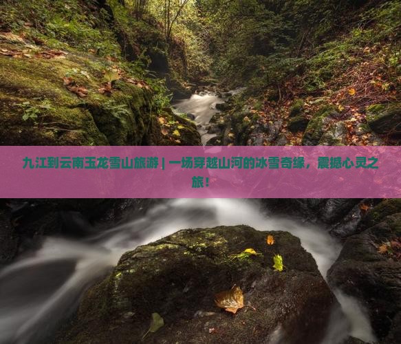 九江到云南玉龙雪山旅游