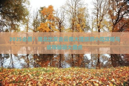 淮北去云南大理旅游小吃