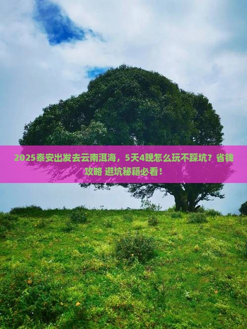 泰安到云南洱海攻略