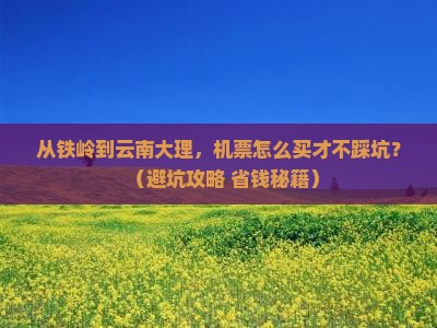 铁岭到云南大理门票 铁岭到云南大理门票
