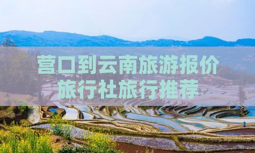 营口到云南旅行社