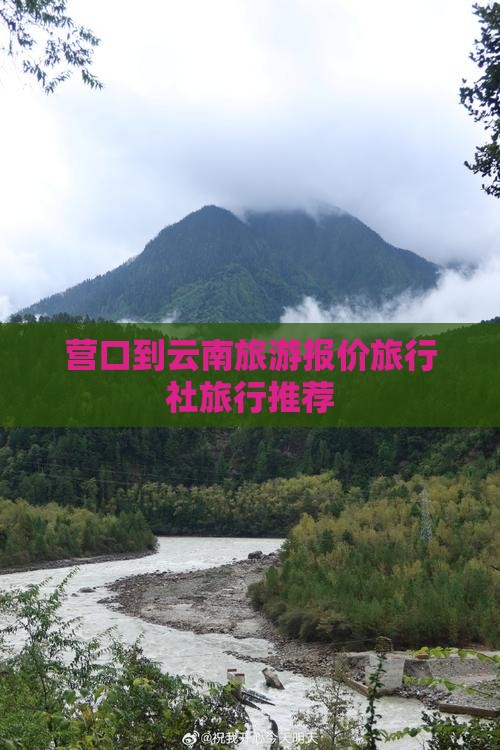营口到云南旅行社