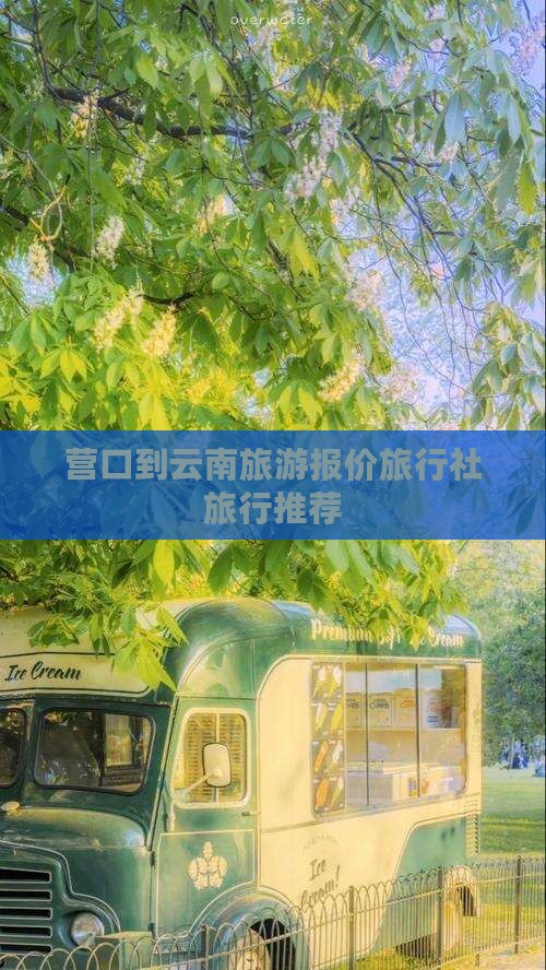 营口到云南旅行社