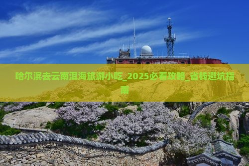 哈尔滨去云南洱海旅游小吃