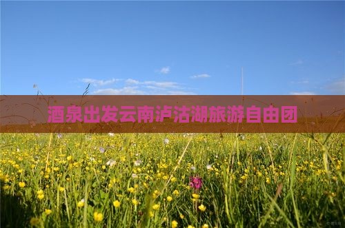 酒泉去云南泸沽湖自由团