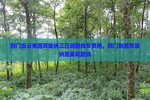 荆门去云南西双版纳三日游