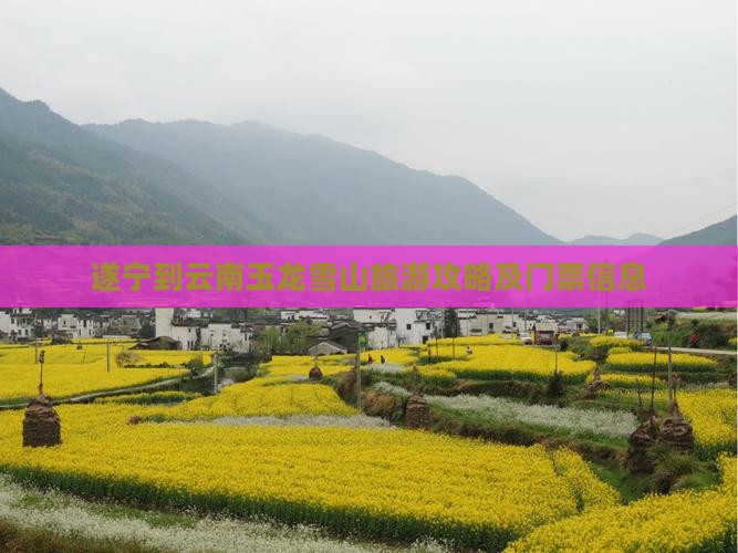 遂宁到云南玉龙雪山门票