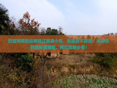 巴音郭楞到云南丽江旅游小吃