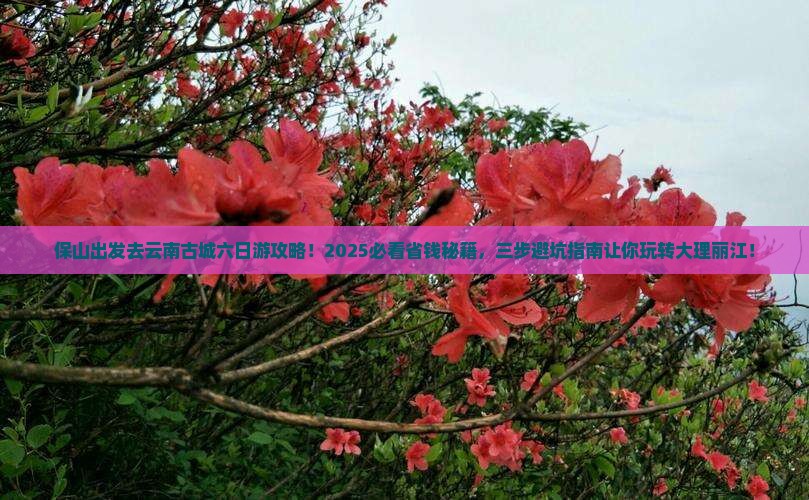 保山去云南古城六日游