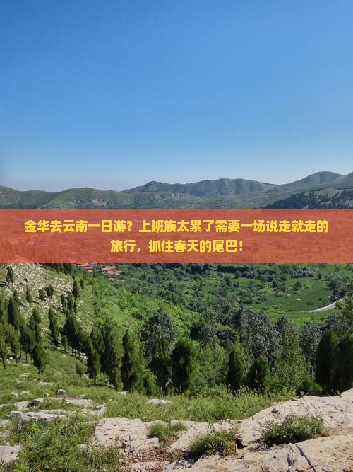 金华去云南一日游？上班族太累了需要一场说走就走的旅行，抓住春天的尾巴！