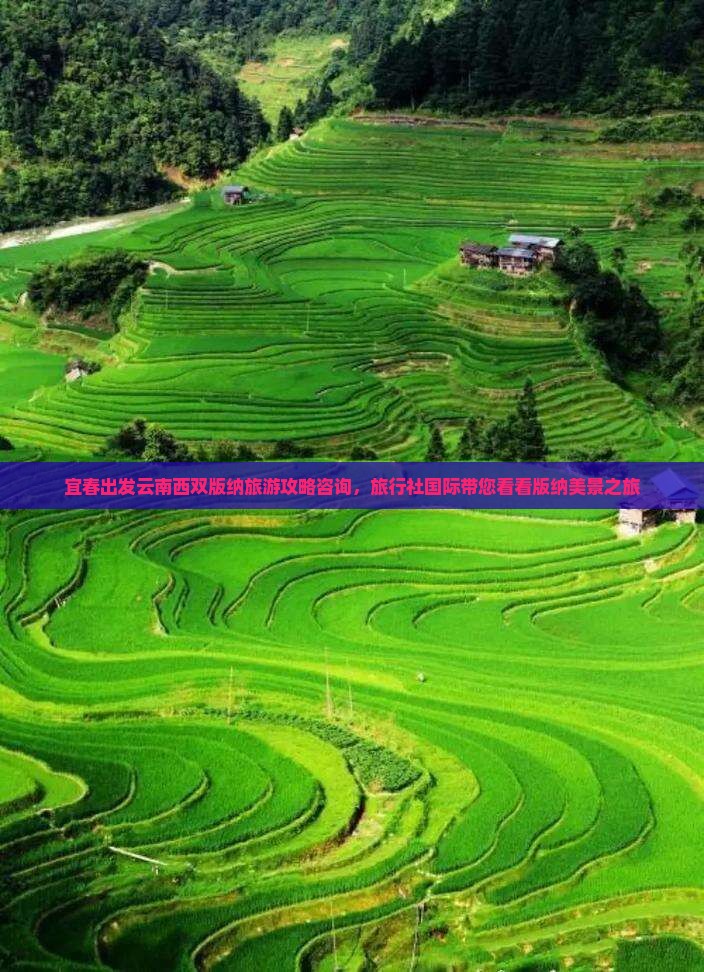 宜春出发云南西双版纳旅游攻略咨询，旅行社国际带您看看版纳美景之旅