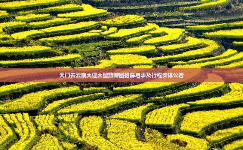 天门去云南大理大型旅游团招募启事及行程安排公告