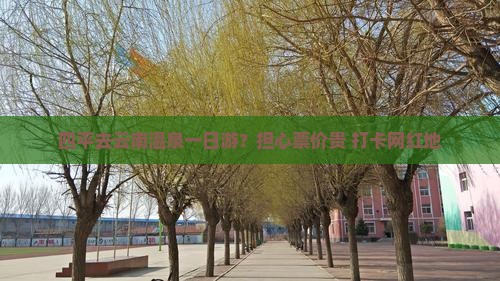 四平去云南温泉一日游？担心票价贵+打卡网红地