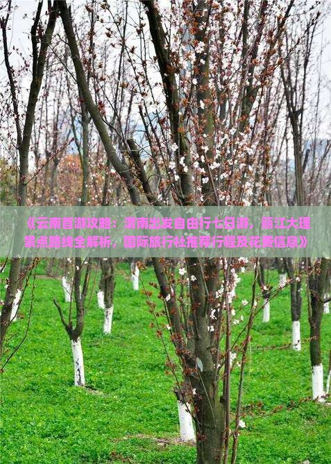《云南首游攻略：渭南出发自由行七日游，丽江大理景点路线全解析，国际旅行社推荐行程及花费信息》