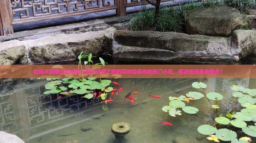 如何从铜陵出发享受云南泸沽湖之旅的同时尝遍当地热门小吃，解决旅途美食痛点？