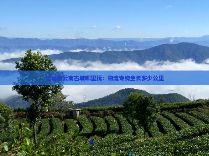 长葛到云南古城哪里玩：物流专线全长多少公里
