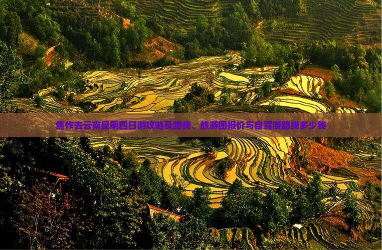 焦作去云南昆明四日游攻略及路线、旅游团报价与自驾游路线多少钱