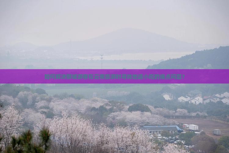 如何解决聊城游客在云南旅游时寻找地道小吃的痛点问题？