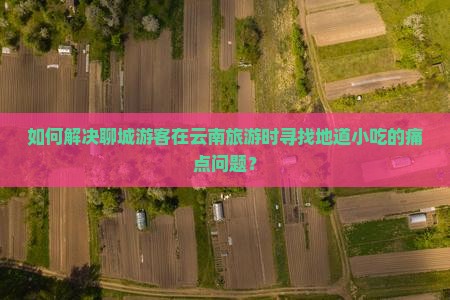如何解决聊城游客在云南旅游时寻找地道小吃的痛点问题？