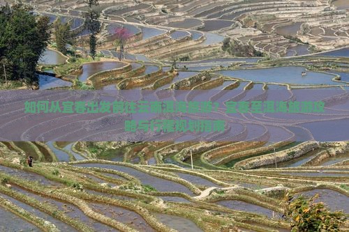 如何从宜春出发前往云南洱海旅游？宜春至洱海旅游攻略与行程规划指南