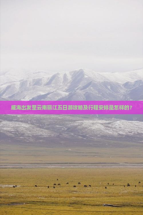 威海出发至云南丽江五日游攻略及行程安排是怎样的？
