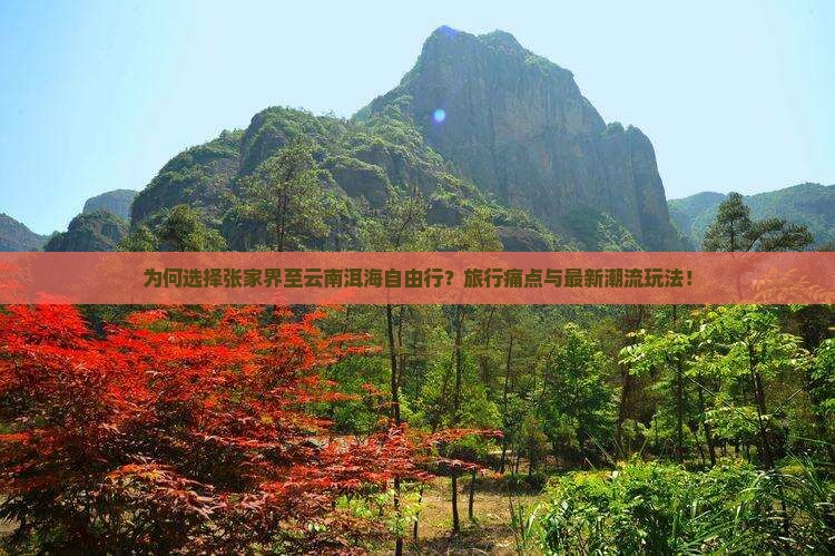 为何选择张家界至云南洱海自由行？旅行痛点与最新潮流玩法！