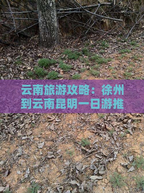 云南旅游攻略：徐州到云南昆明一日游推荐