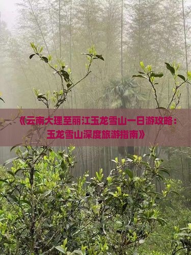 《云南大理至丽江玉龙雪山一日游攻略：玉龙雪山深度旅游指南》