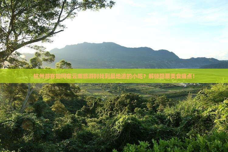 杭州游客如何在云南旅游时找到最地道的小吃？解锁隐藏美食痛点！