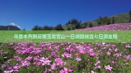 乌鲁木齐到云南玉龙雪山一日游路线含七日游全程