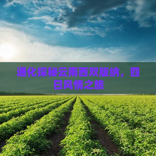 通化探秘云南西双版纳，四日风情之旅