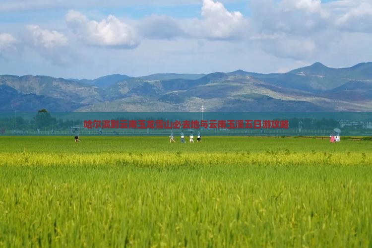 哈尔滨到云南玉龙雪山必去地与云南玉溪五日游攻略