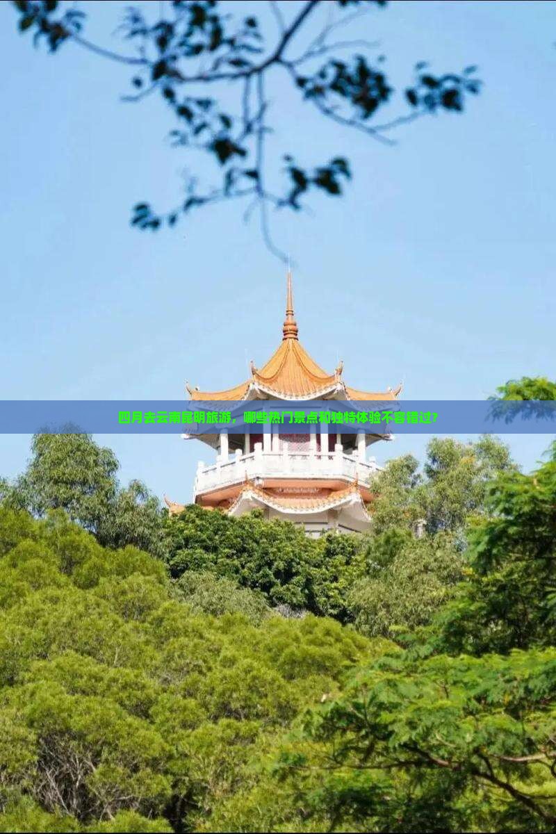 四月去云南昆明旅游，哪些热门景点和独特体验不容错过？
