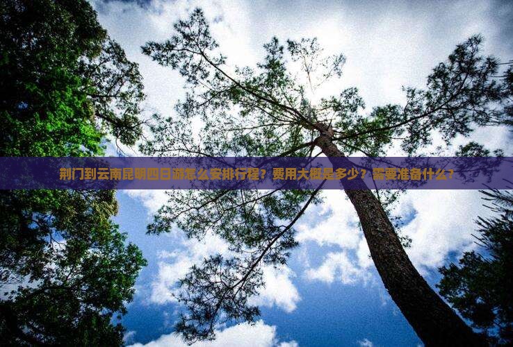 荆门到云南昆明四日游怎么安排行程？费用大概是多少？需要准备什么？