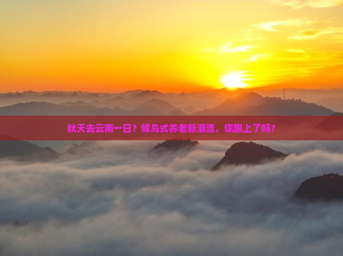 秋天去云南一日？候鸟式养老新潮流，你跟上了吗？
